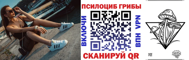 площадка формула  Валуйки  Псилоцибиновые грибы Psilocybine cubensis 